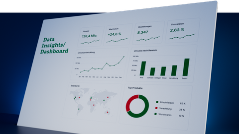 Data Insights / Dashboards