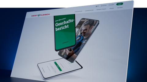 Secure Viewer Geschäftsberichte