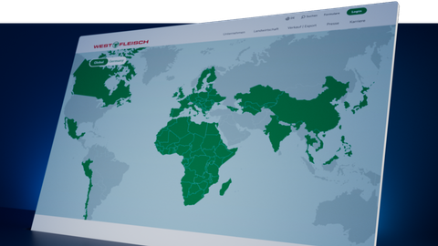 SEO / GEO Strategie